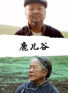 风暴影视海报