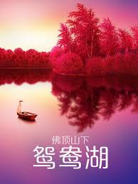 男生烫发种类及效果图影视海报